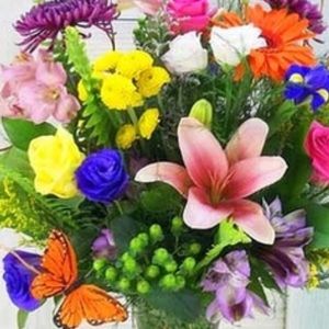 Meet your Posher, Tara